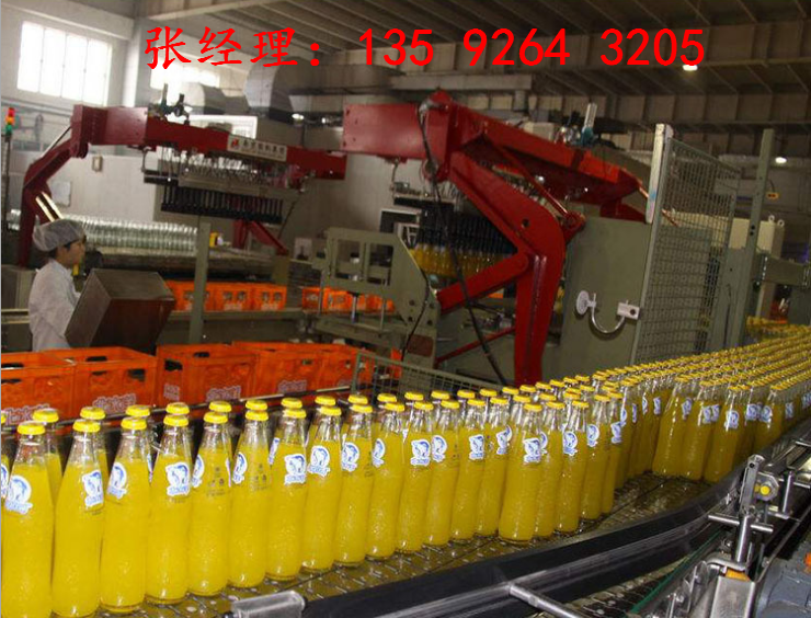 發酵型果蔬汁飲料生產設備|果漿果汁生產線設備廠家