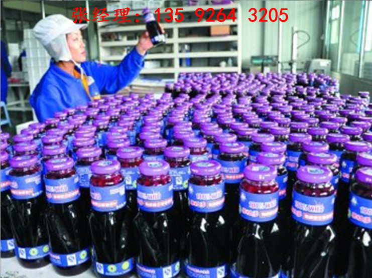 整套藍莓果酒生產線設備價格|藍莓深加工果汁飲料設備