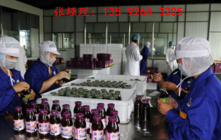 小型調配果汁飲料生產線設備|植物水果飲料設備價格