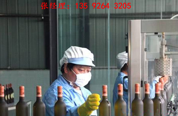 楊梅汁飲料生產線設備|小型楊梅酒生產加工設備多少錢
